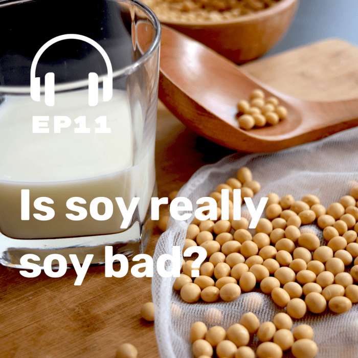 Ep. 11 Is soy really soy bad?