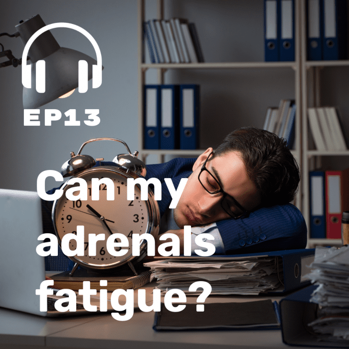 Ep. 13 Adrenal Fatigue