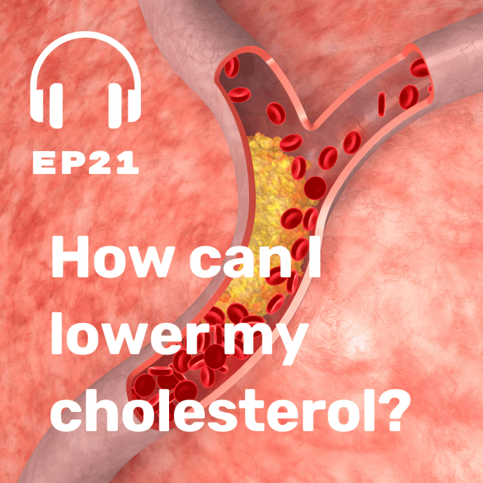 Ep. 21 Cholesterol